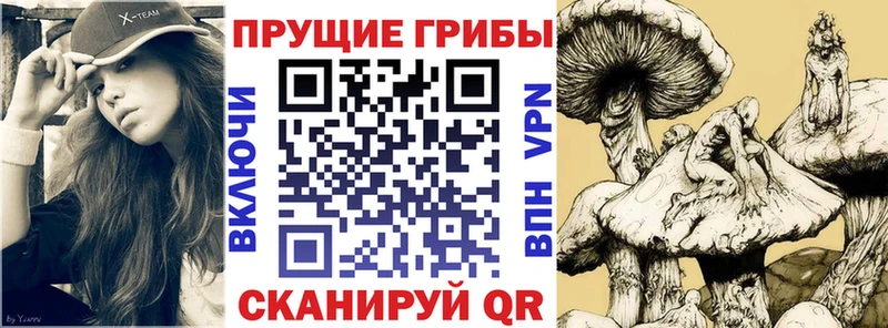 Галлюциногенные грибы GOLDEN TEACHER  hydra как войти  Завитинск 